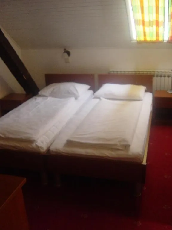 Hotel Risnjak Delnice